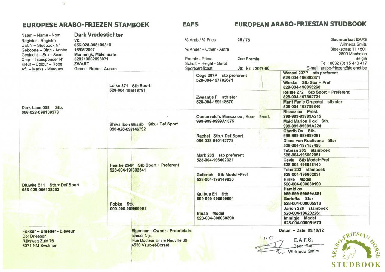 DARK VREDESTICHTER 022 - Arabo Frisón 2007