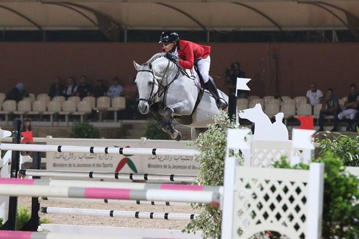 Garfield des Templiers - BWP Caballo de Sangre Belga 2006 por Quazimondo z