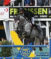 Garfield des Templiers - BWP Caballo de Sangre Belga 2006 por Quazimondo z