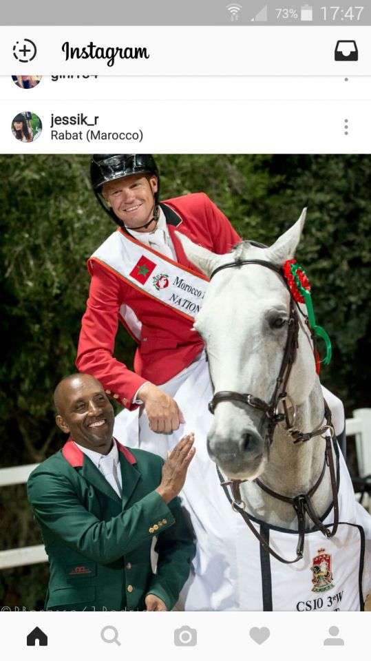 Garfield des Templiers - BWP Caballo de Sangre Belga 2006 por Quazimondo z