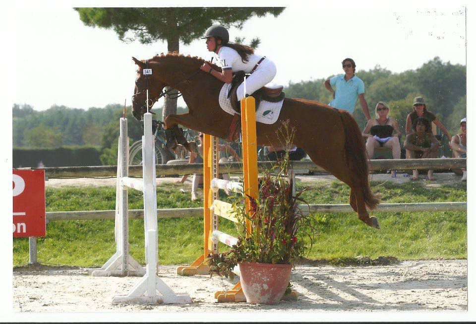 ROCKENROL GEVAUDAN - New Forest 2005 por IVOIRE DE CIVRY 