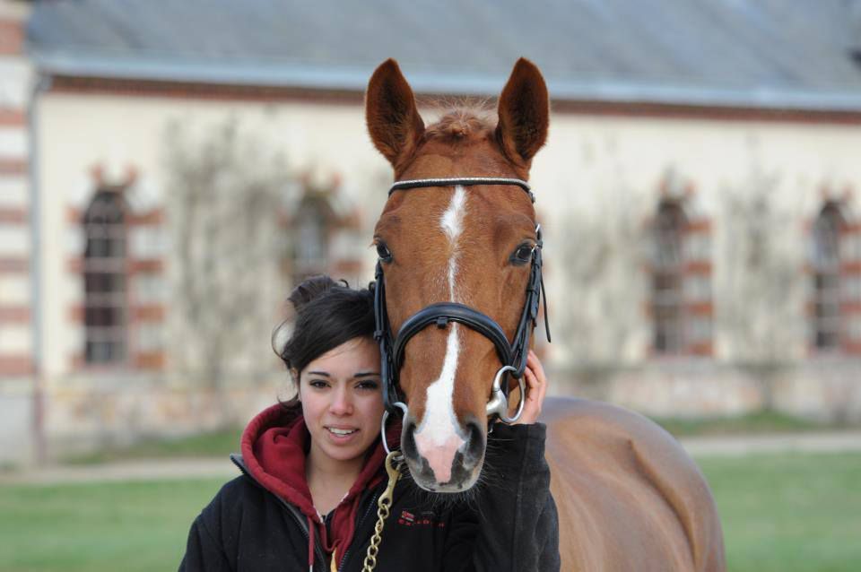 ROCKENROL GEVAUDAN - New Forest 2005 por IVOIRE DE CIVRY 