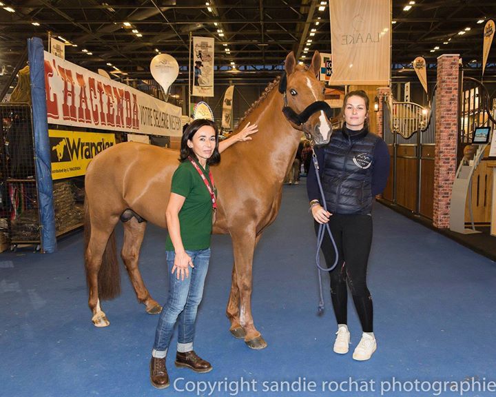 ROCKENROL GEVAUDAN - New Forest 2005 por IVOIRE DE CIVRY 