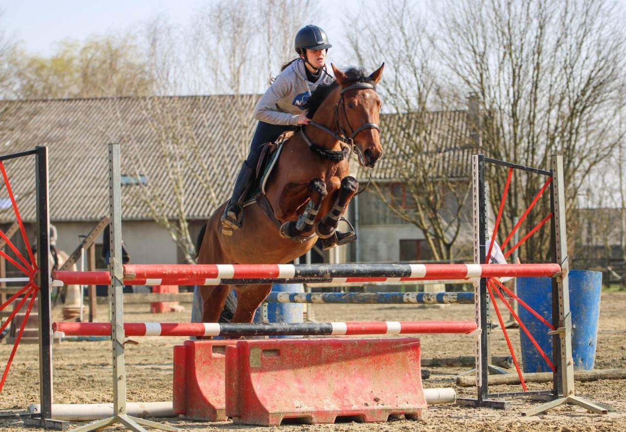 ROCKENROL GEVAUDAN - New Forest 2005 por IVOIRE DE CIVRY 