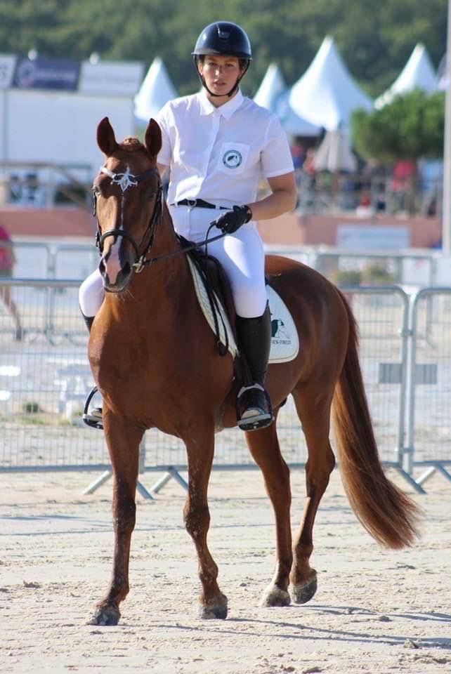 ROCKENROL GEVAUDAN - New Forest 2005 por IVOIRE DE CIVRY 