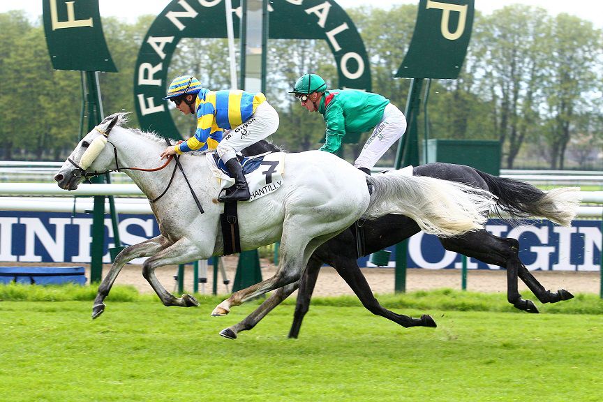 FLY WITH ME - Pura Sangre Inglés 2010 por BEAT HOLLOW