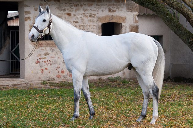 FLY WITH ME - Pura Sangre Inglés 2010 por BEAT HOLLOW