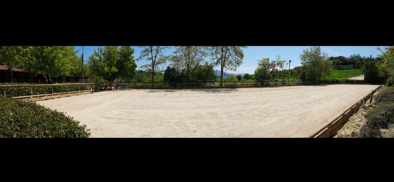 Pupilaje y Entrenamiento Barcelona