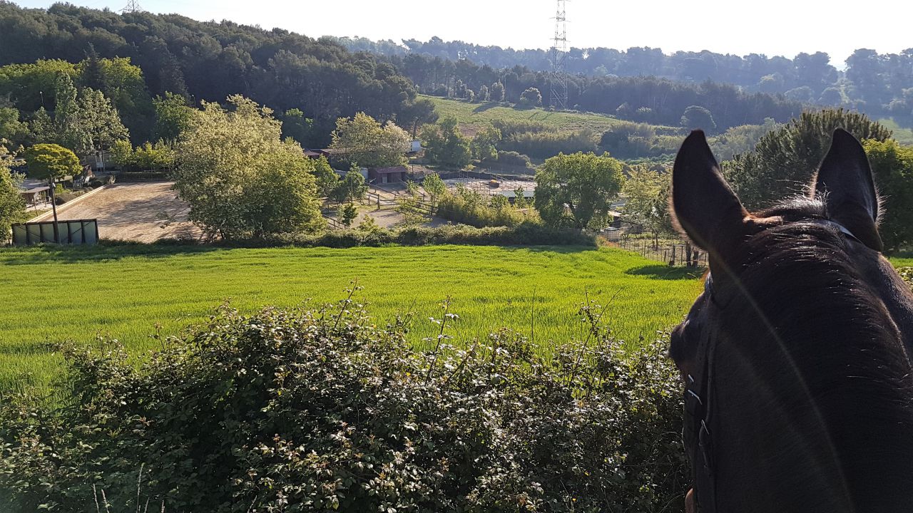 Pupilaje y Entrenamiento Barcelona