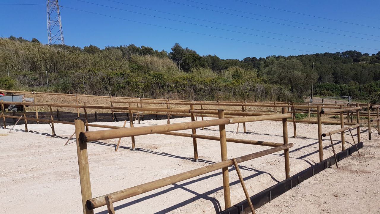 Pupilaje y Entrenamiento Barcelona