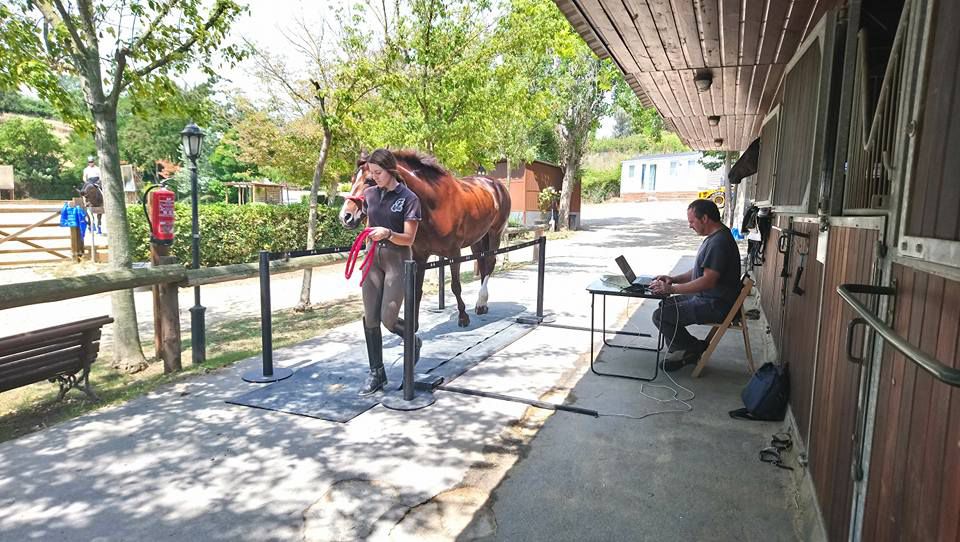 Pupilaje y Entrenamiento Barcelona
