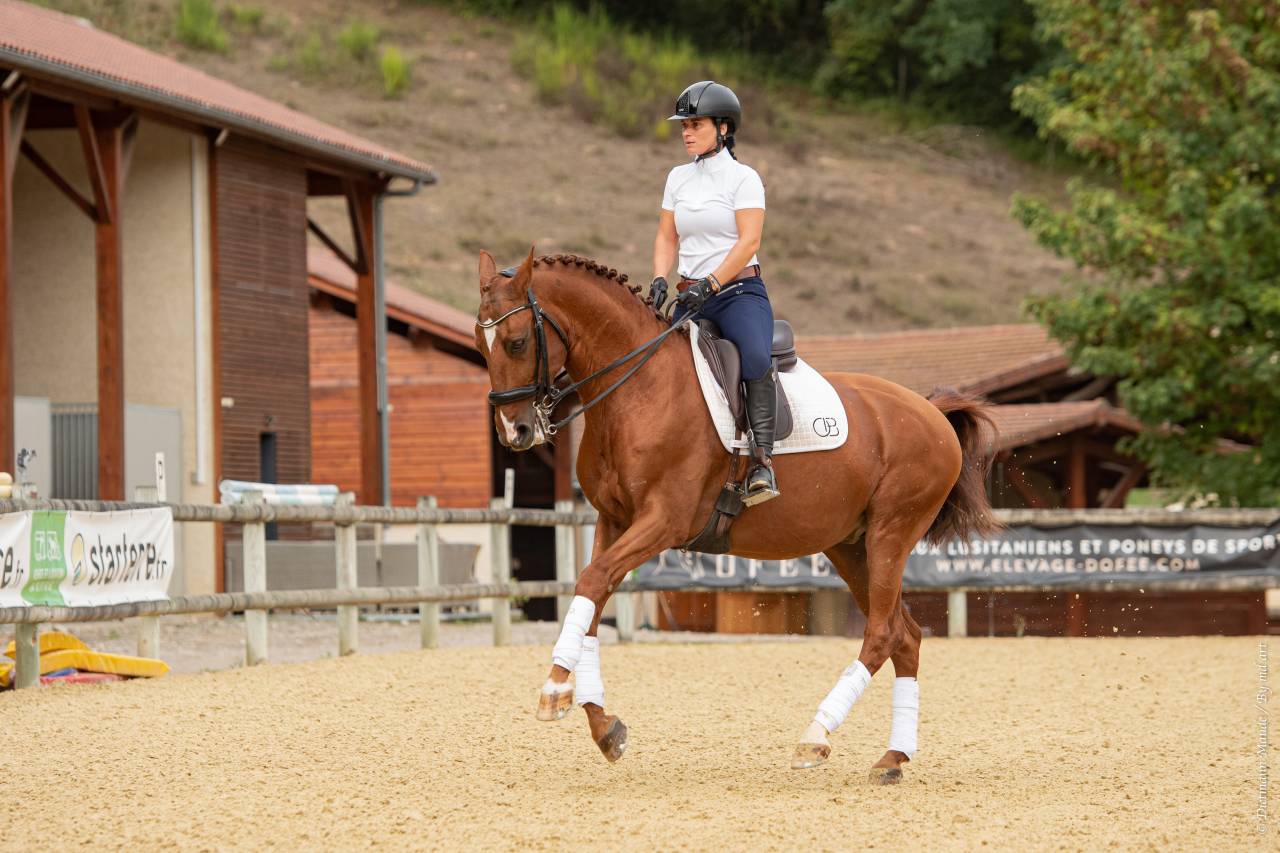 EROS - Lusitano 2009 por unico