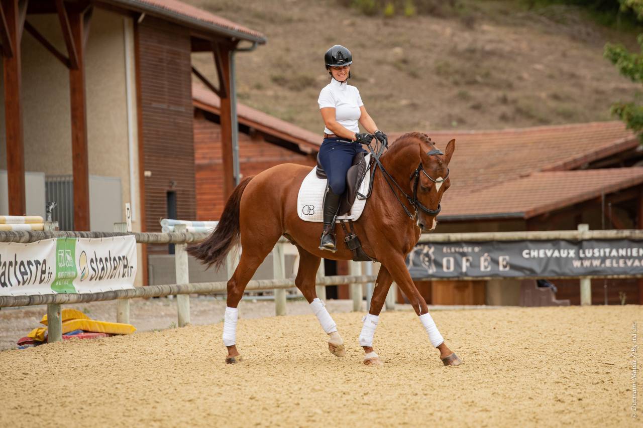 EROS - Lusitano 2009 por unico