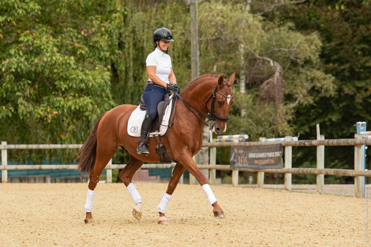EROS - Lusitano 2009 por unico