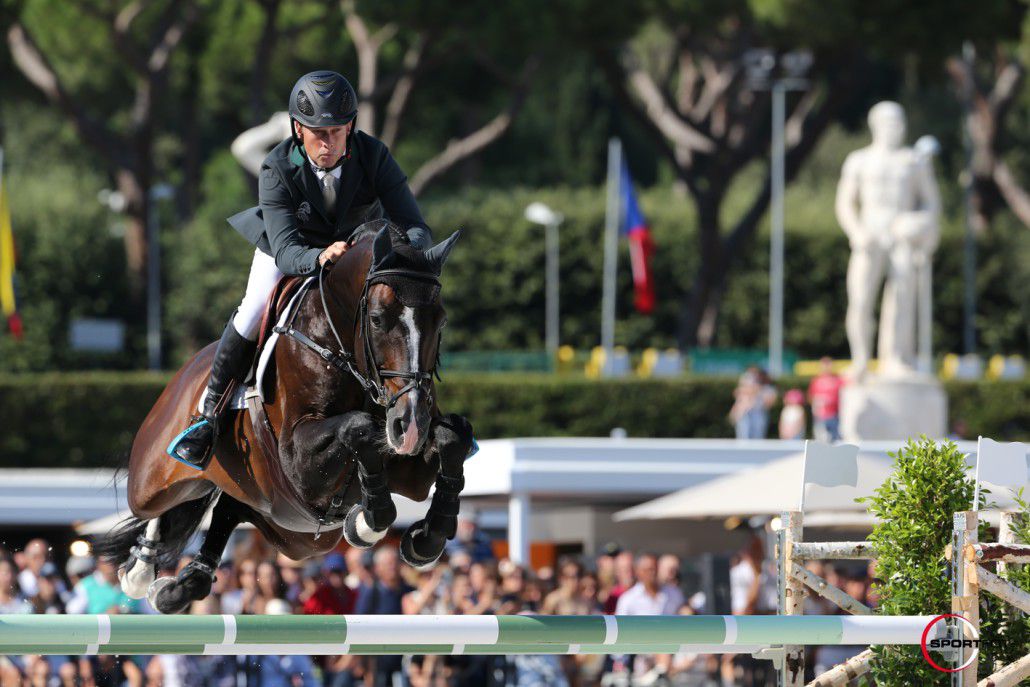 Casall ASK - Holsteiner 1999 por Caretino