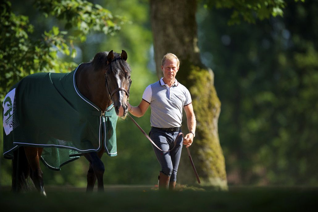 Casall ASK - Holsteiner 1999 por Caretino
