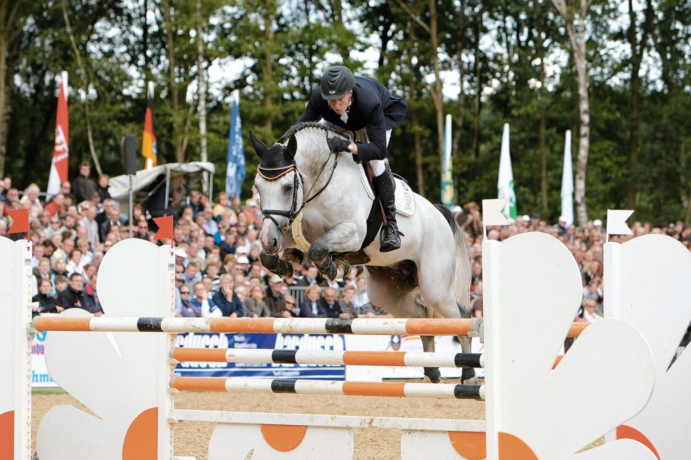 Cornet's Stern - Westfaliano 2003 por CORNET OBOLENSKY