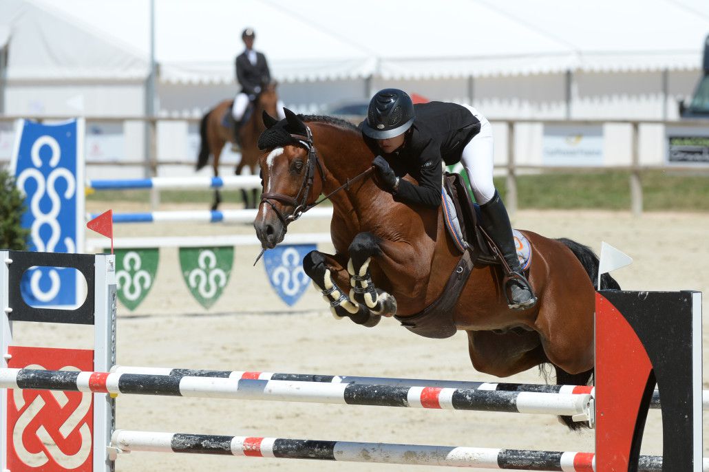 Ugo des Clas - PFS Poni Françés de Silla 2008 por MACHNO CARWYN