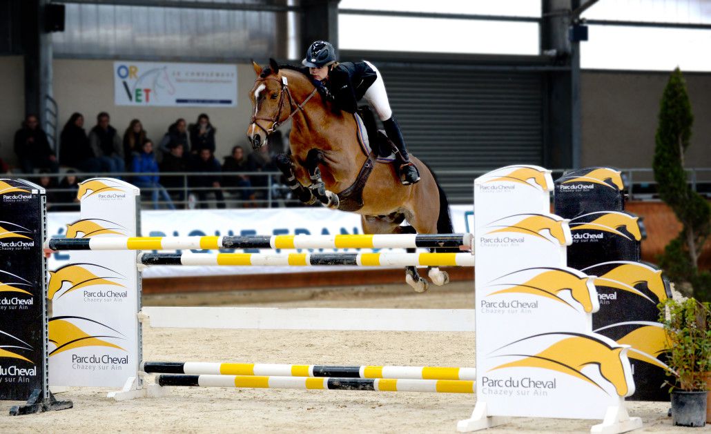 Ugo des Clas - PFS Poni Françés de Silla 2008 por MACHNO CARWYN