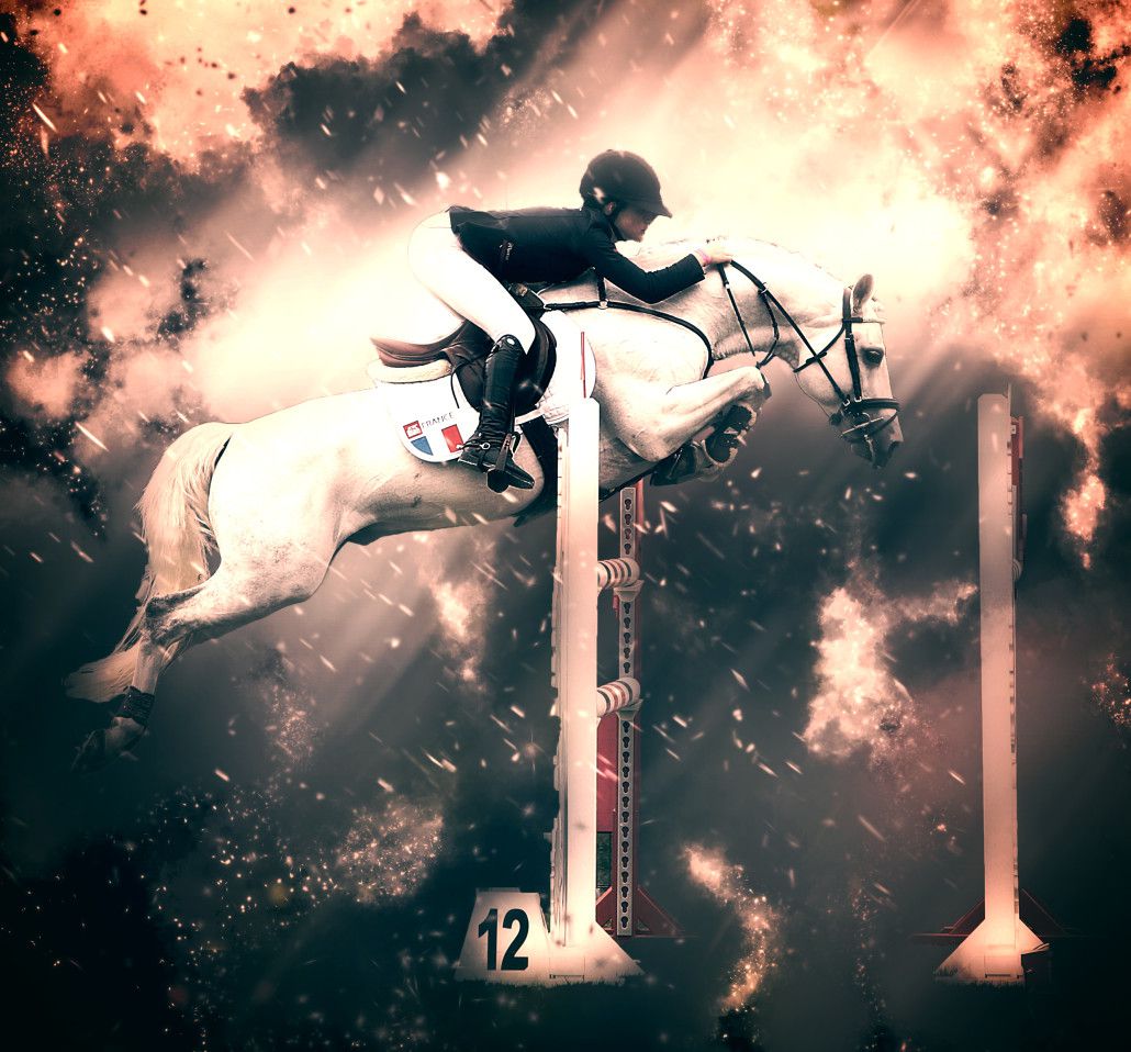 Uh&eacute;lem de Seille - PFS Poni Fran&ccedil;&eacute;s de Silla 2008