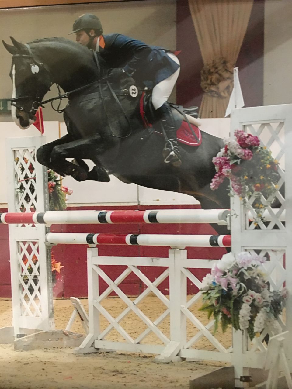 Zodjan J - KWPN Caballo de Deporte Neerlandés 2004 por NEGRO
