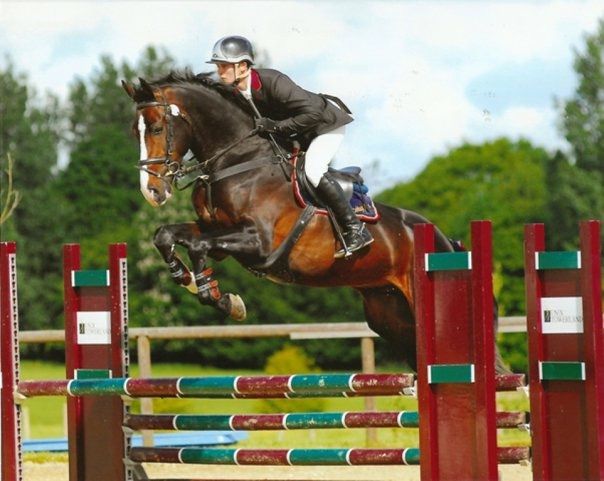 Zodjan J - KWPN Caballo de Deporte Neerlandés 2004 por NEGRO