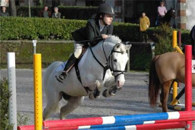 IVOIRE DE CIVRY - New Forest 1996 por PERAC DES ETANGS