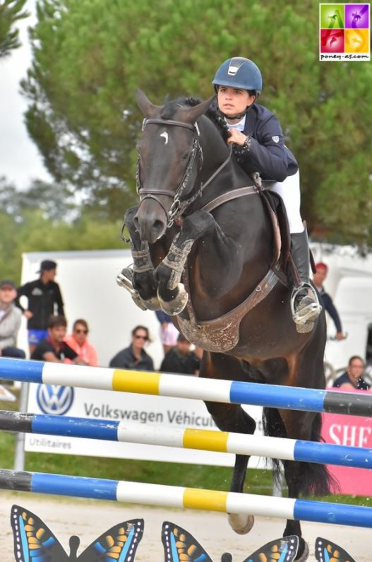 LOVELYHILL MAGICAL HEIGHT - New Forest 2010 por APPLEWITCH PURE MAGIC