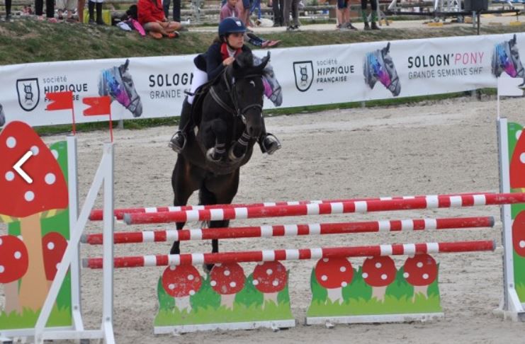 LOVELYHILL MAGICAL HEIGHT - New Forest 2010 por APPLEWITCH PURE MAGIC