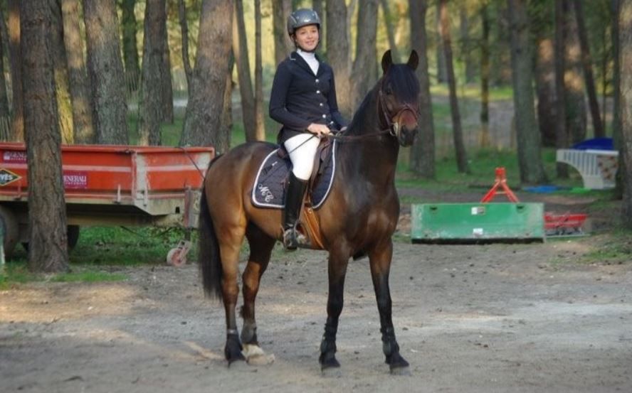 QUOKTAIL PEARL - New Forest 2004 por WILLOWWAY PIPER'S BAY (GBR)