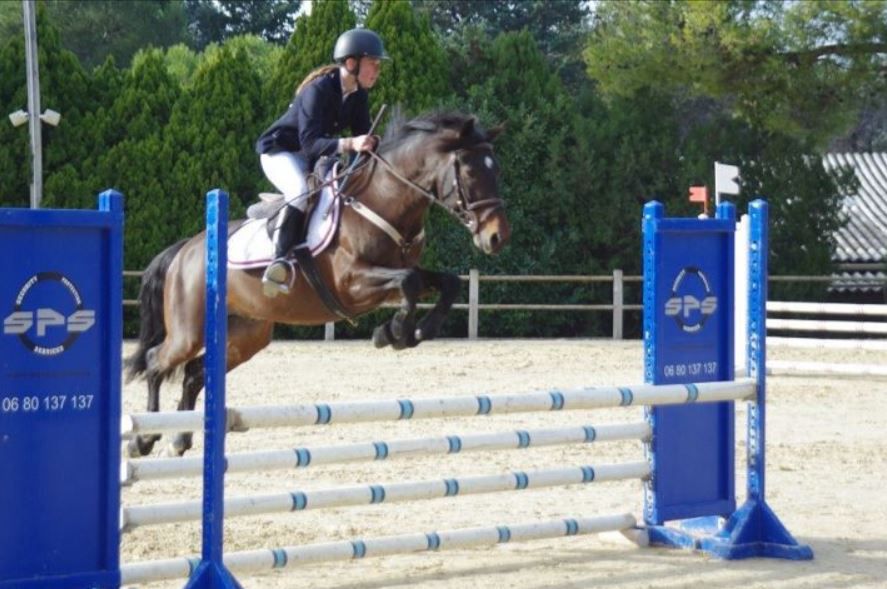 QUOKTAIL PEARL - New Forest 2004 por WILLOWWAY PIPER'S BAY (GBR)