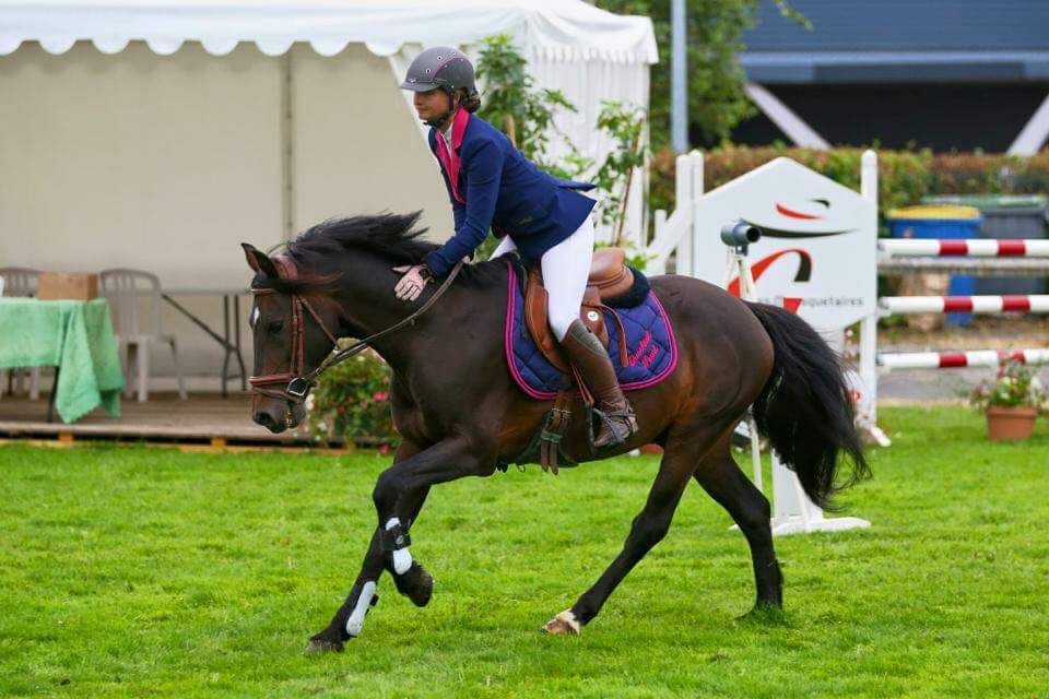 QUOKTAIL PEARL - New Forest 2004 por WILLOWWAY PIPER'S BAY (GBR)