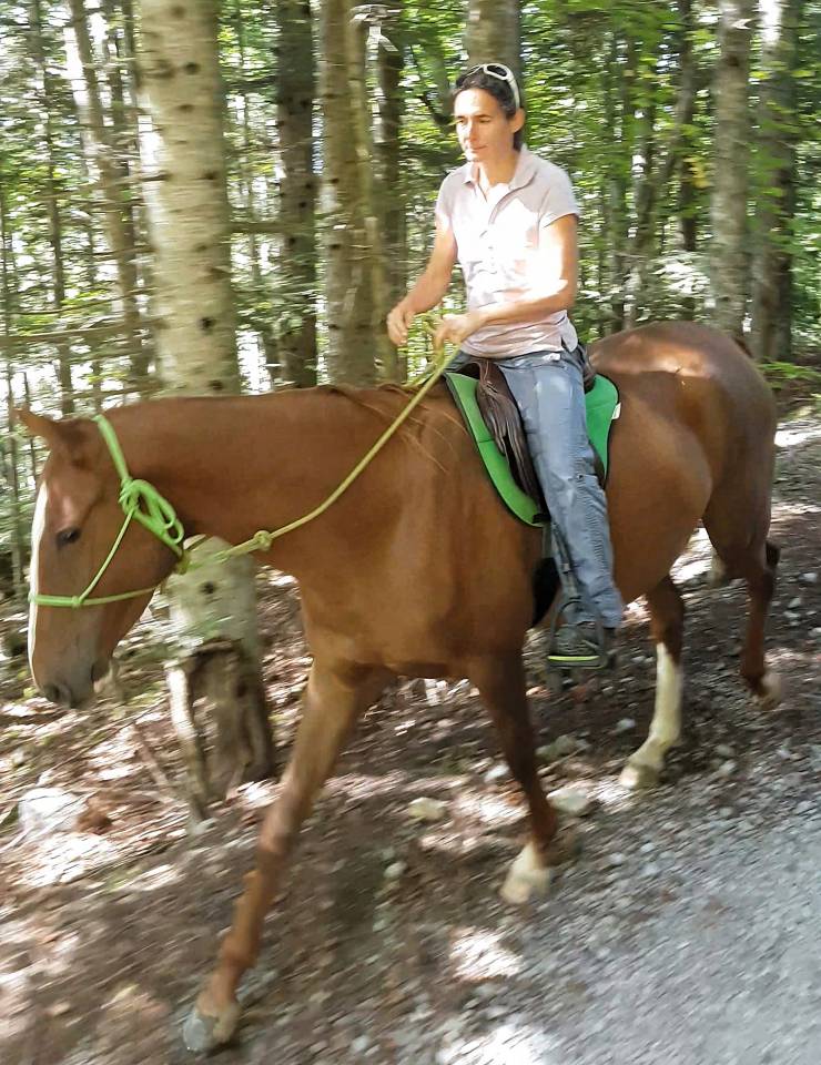 Yegua Akhal Teke En venta 2017 Alazán por Raymar, AT