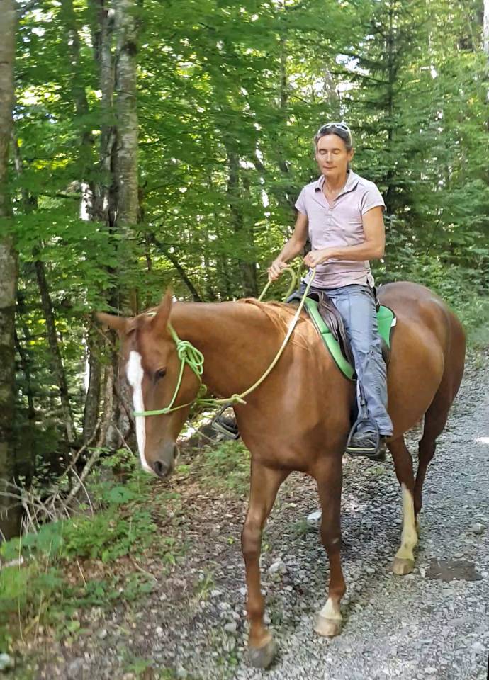 Yegua Akhal Teke En venta 2017 Alazán por Raymar, AT