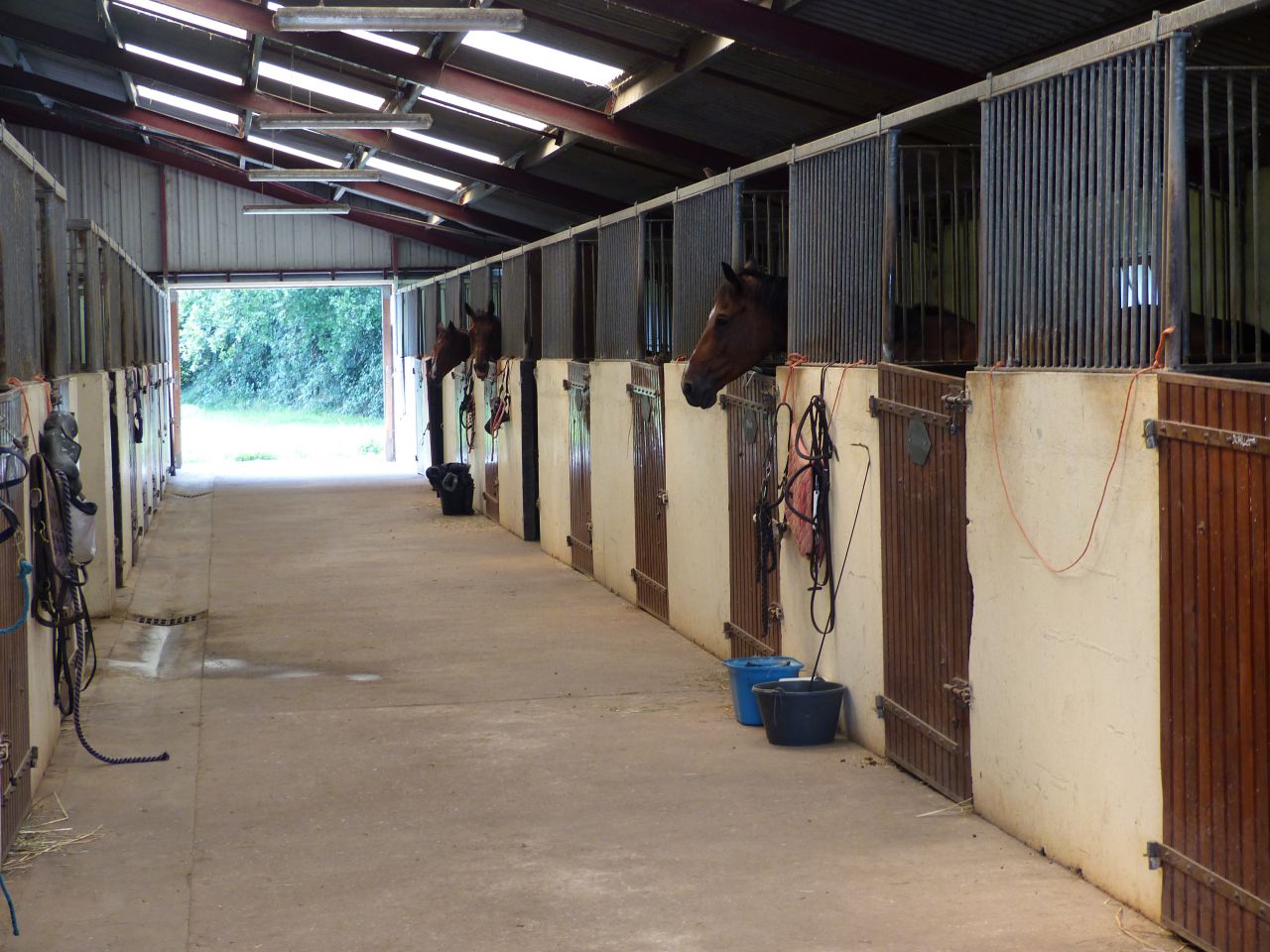 Propiedad ecuestre En venta Calvados