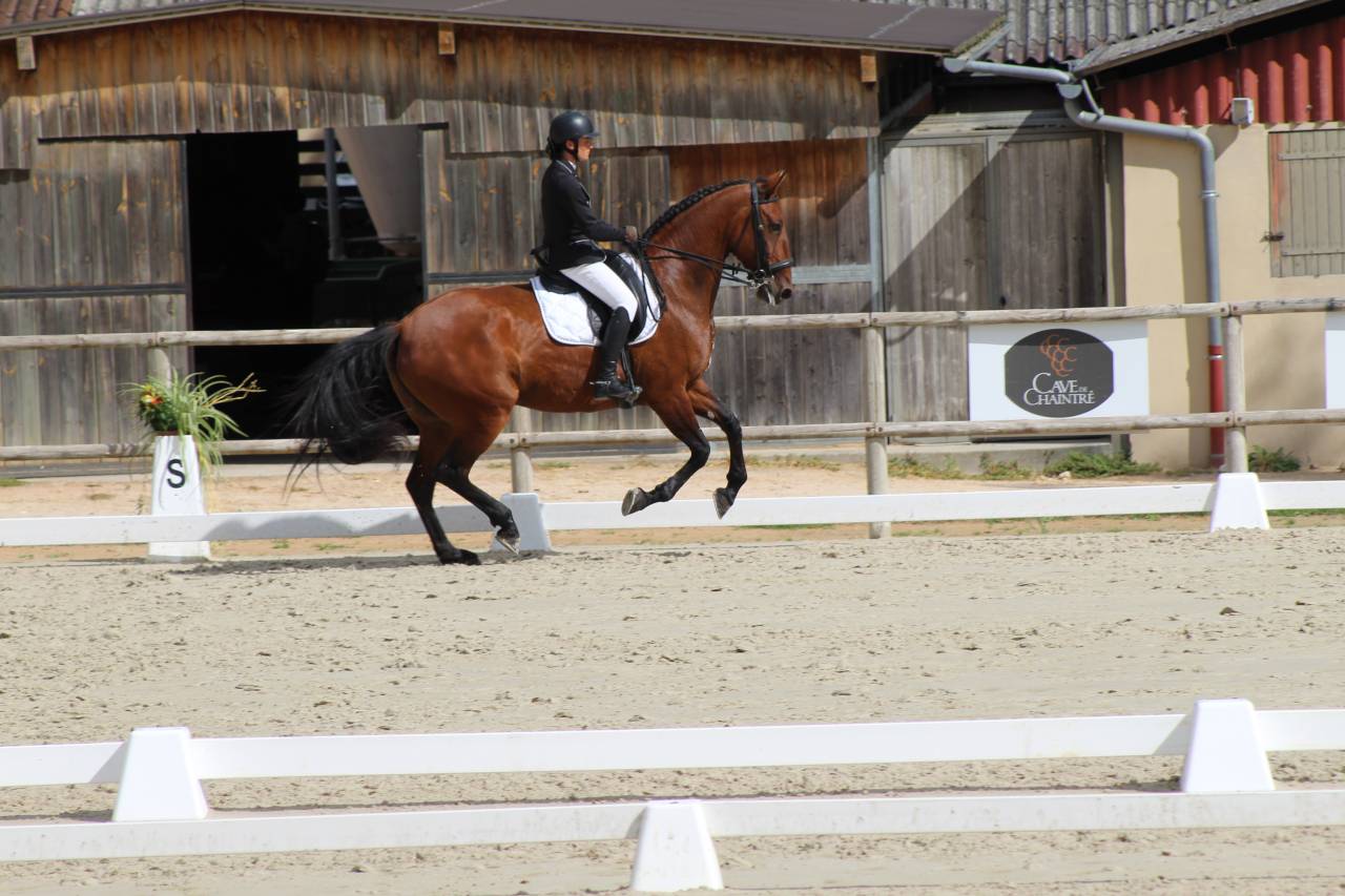 Alumno monitor - Aprendiz Tiempo completo - Ródano Francia