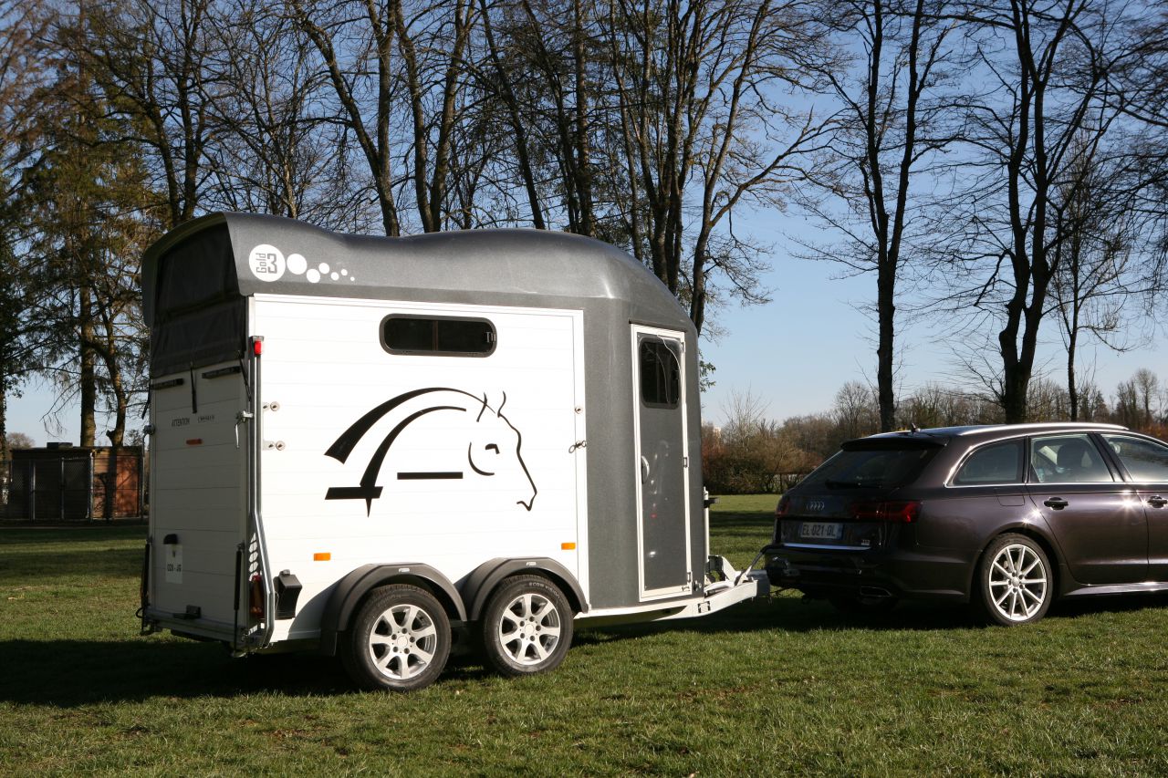 Van caballos Cheval Libert&eacute; GOLD 3 2 Caballos 2025 Nuevo