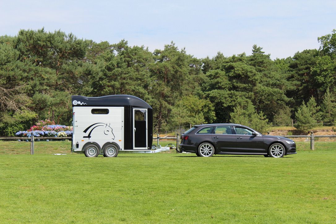 Van caballos Cheval Libert&eacute; GOLD 3 2 Caballos 2025 Nuevo