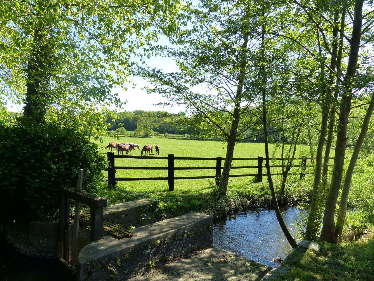 Cuadra de propietarios En venta Eure