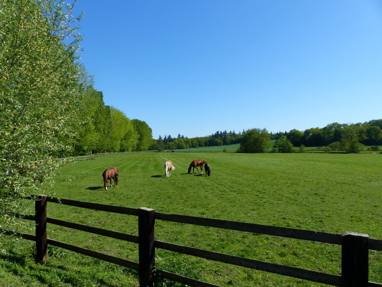 Cuadra de propietarios En venta Eure