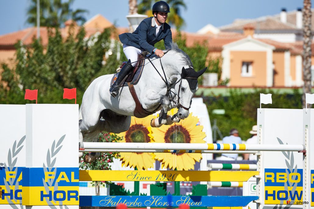 Vingino - KWPN Caballo de Deporte Neerlandés 2002