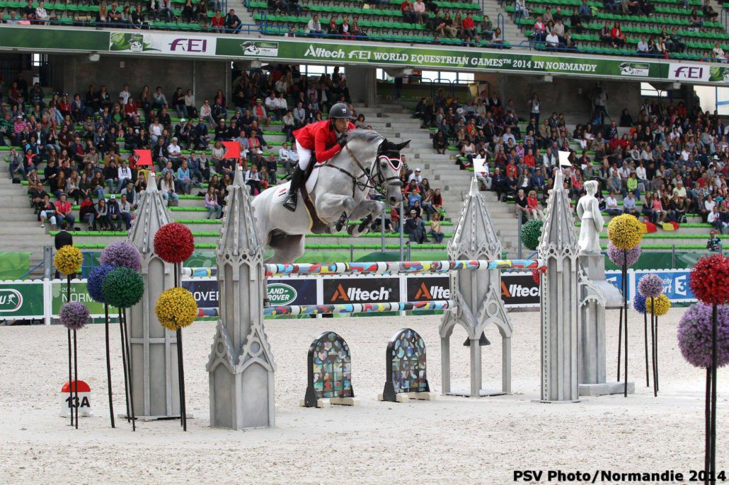 Vingino - KWPN Caballo de Deporte Neerlandés 2002