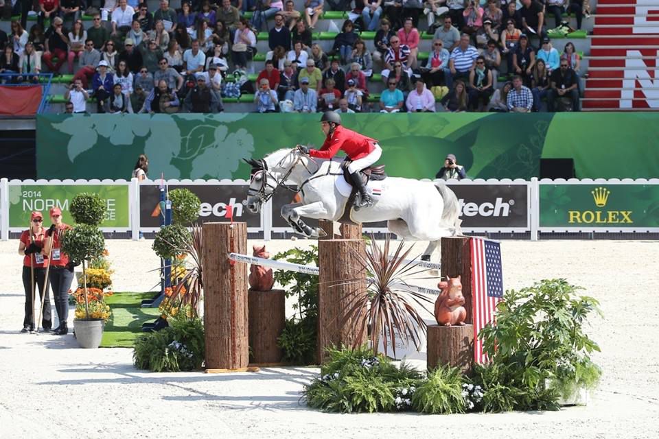 Vingino - KWPN Caballo de Deporte Neerlandés 2002