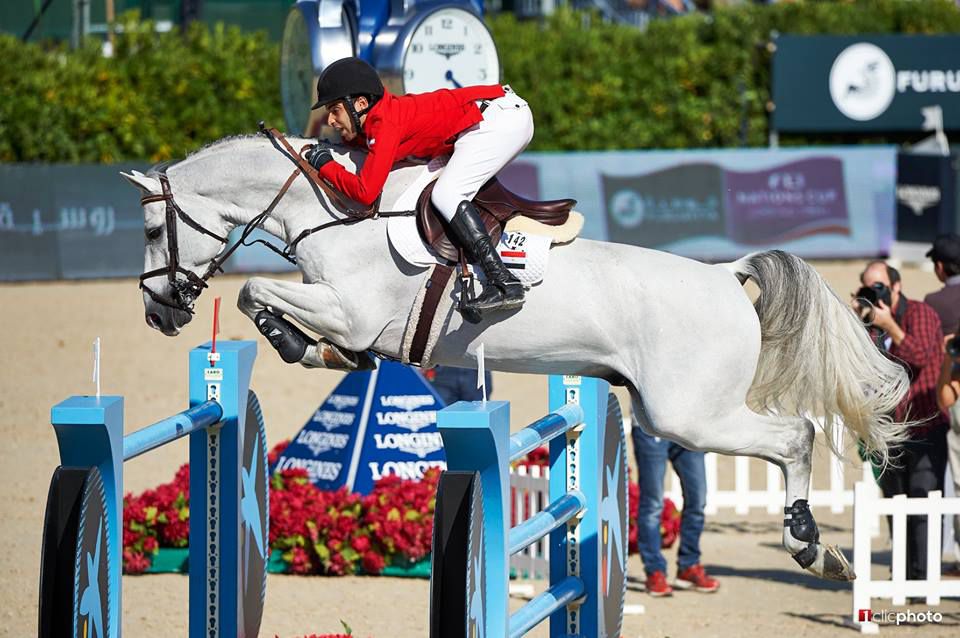 Vingino - KWPN Caballo de Deporte Neerlandés 2002