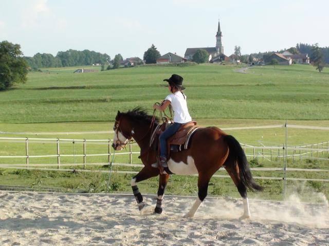 Wash Bar Leo - Paint Horse 2005 por WASH MY SPECTICKLES