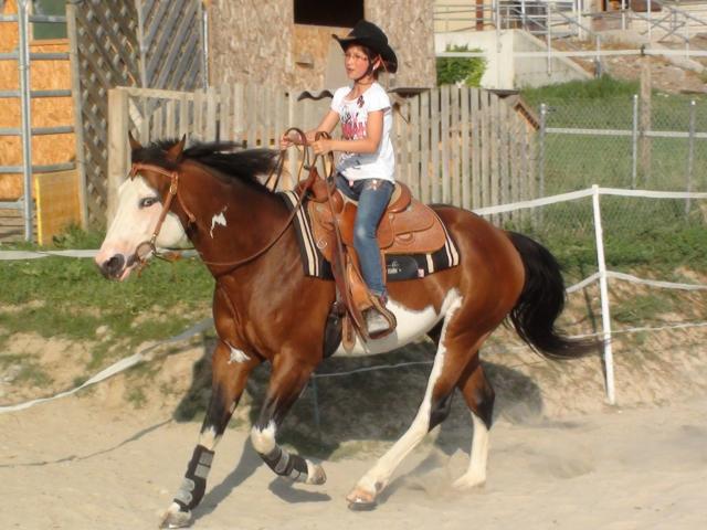 Wash Bar Leo - Paint Horse 2005 por WASH MY SPECTICKLES