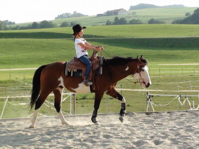 Wash Bar Leo - Paint Horse 2005 por WASH MY SPECTICKLES