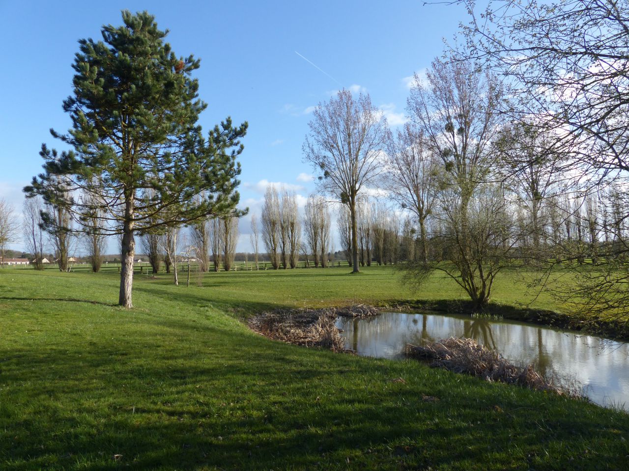 Cuadra de propietarios En venta Yvelines