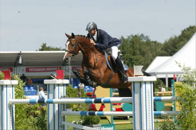 Lando - Caballo de Deporte Danés 1988 por LANCIER
