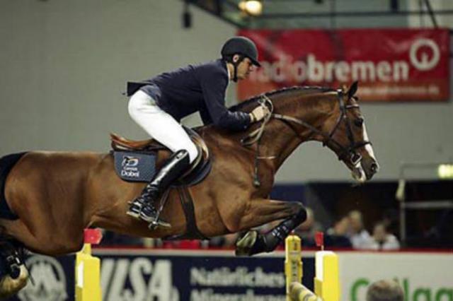 Lando - Caballo de Deporte Danés 1988 por LANCIER